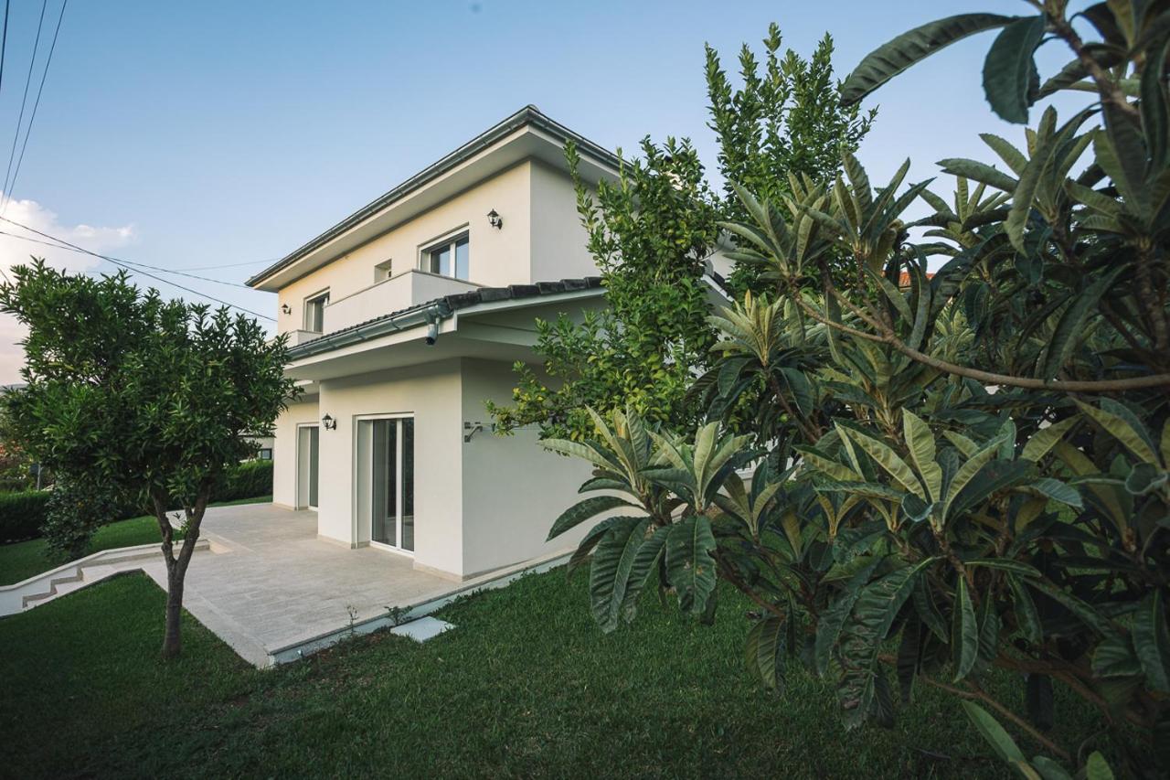 Apartment Prestigio Alvito (Braga)